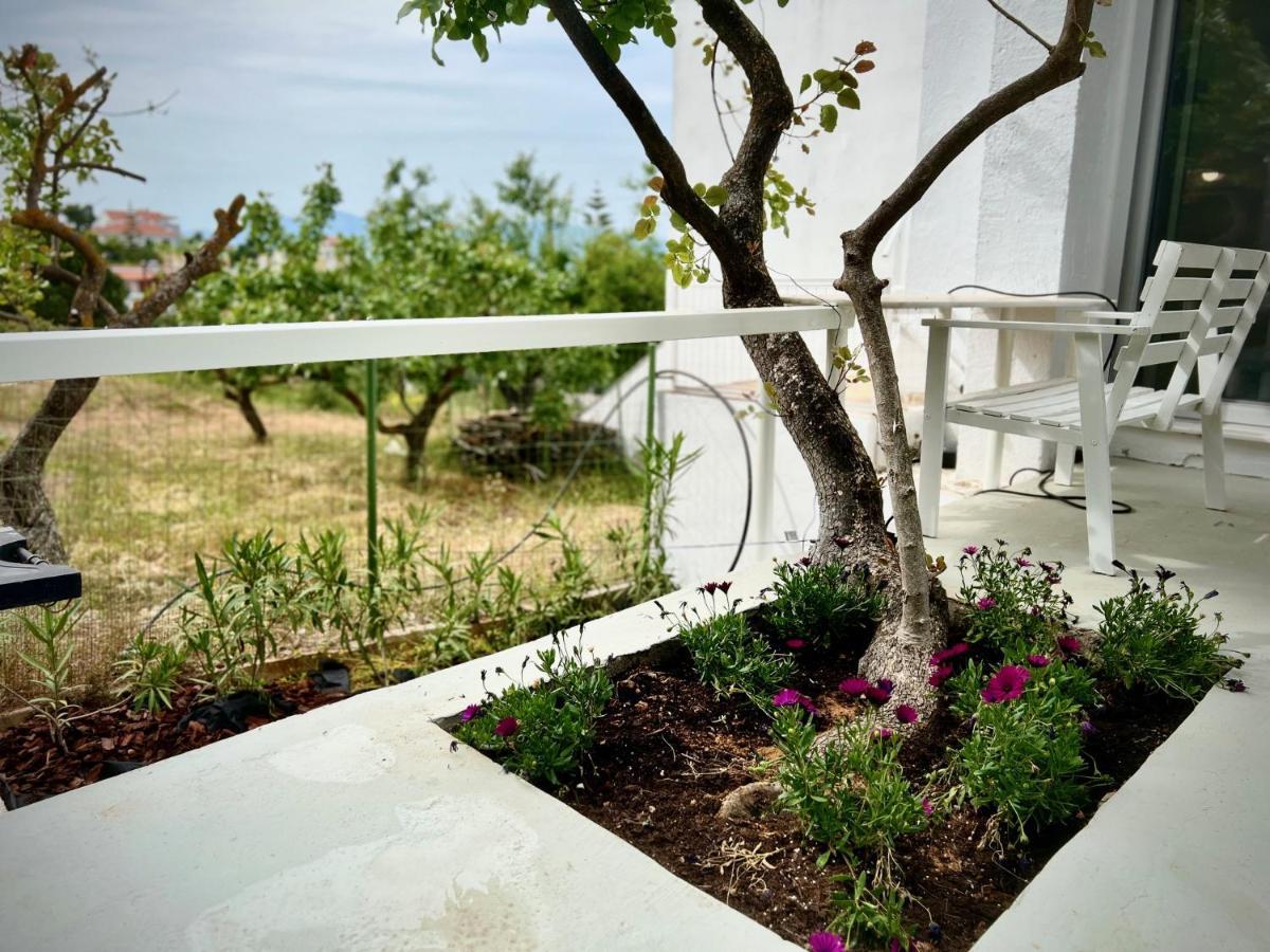 Cozystudio Chalkida Bagian luar foto